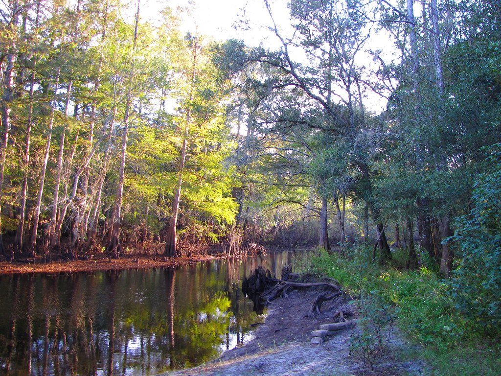 Sunset over the Withlacoochee River near Ridge Manor, Florida