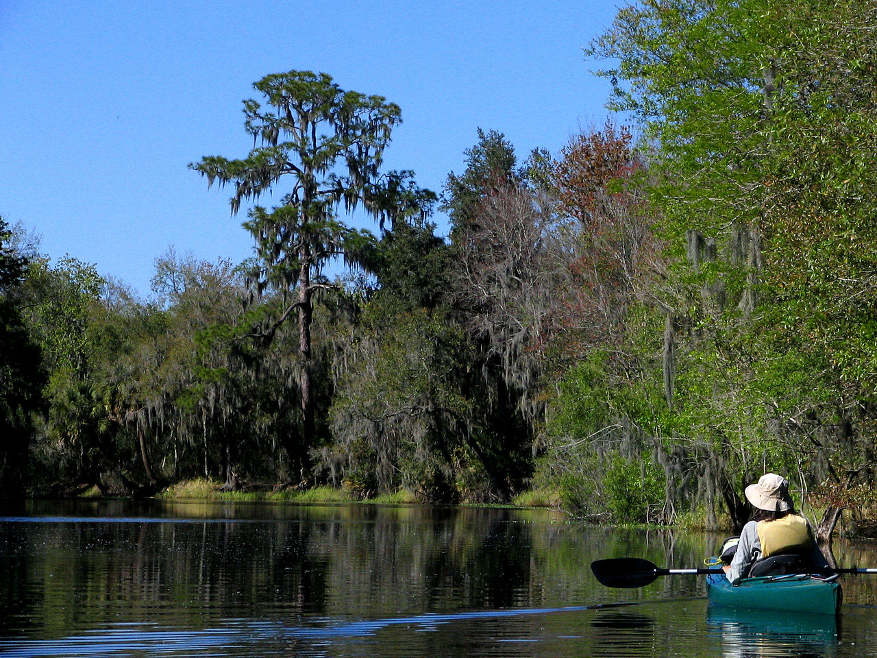 Hurrah Lake at Alafia River State Park near Riverview, Florida