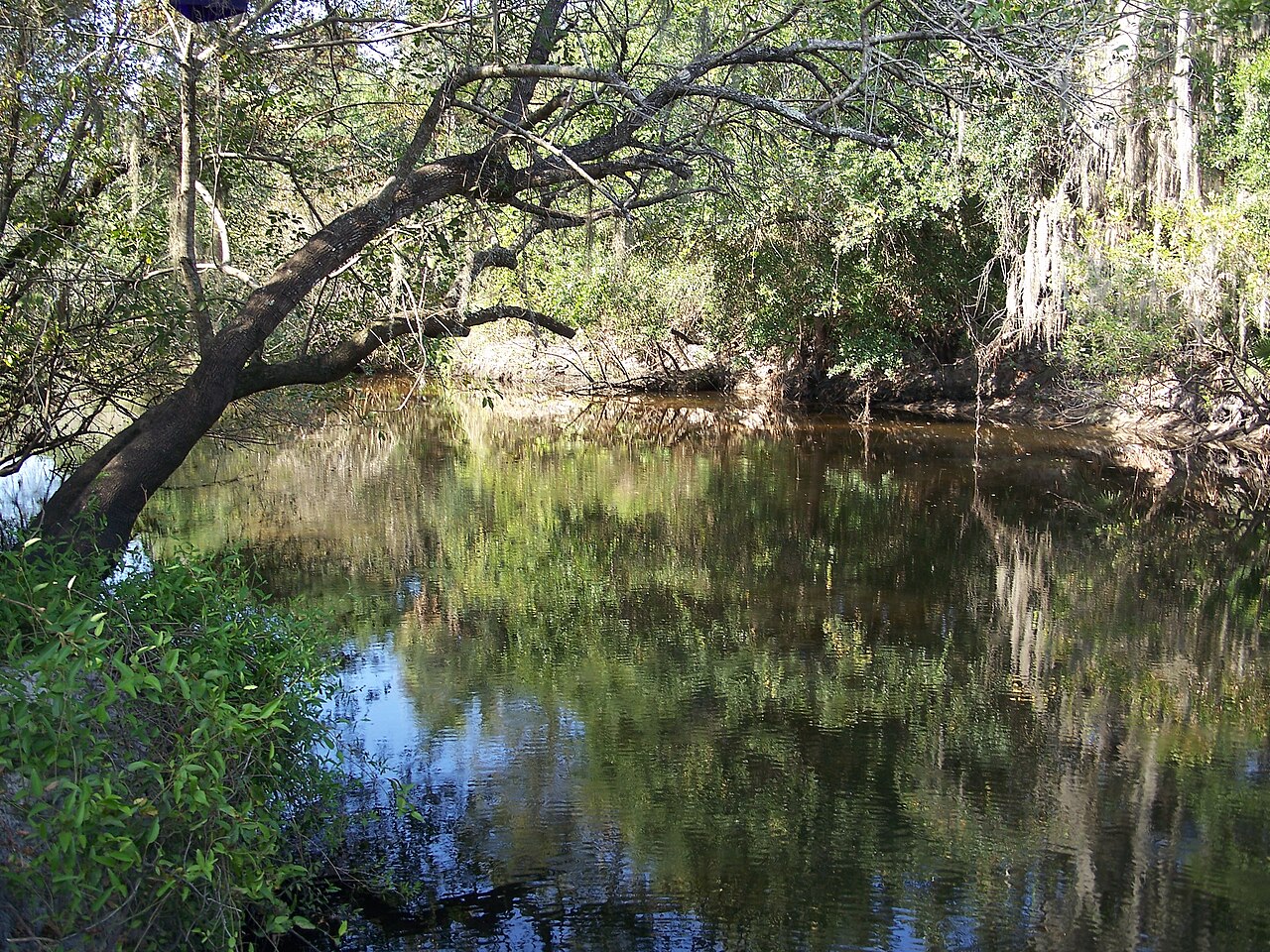 Little Manatee River State Park near Ruskin, Florida