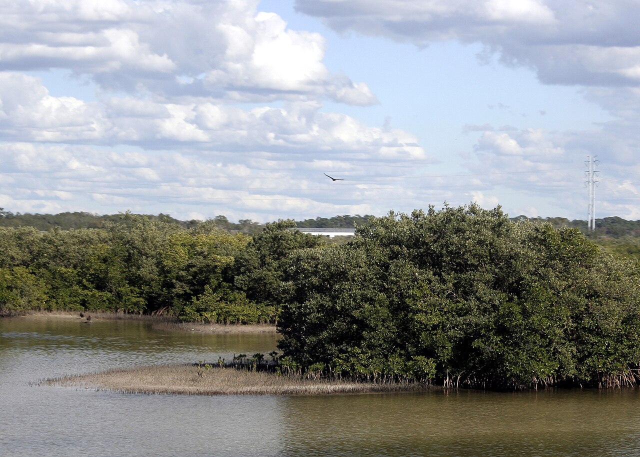 The Anclote River near Holiday, Florida