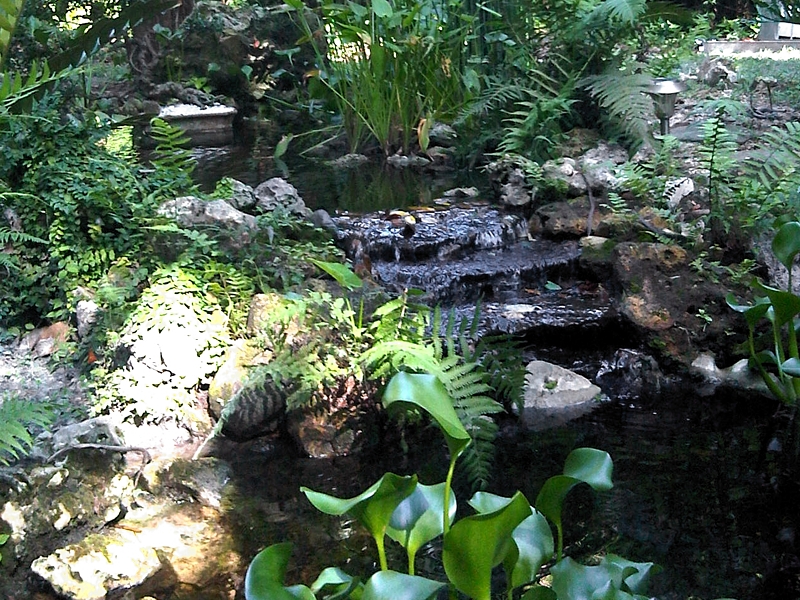 Dupree Gardens waterfall, Land O' Lakes, Florida