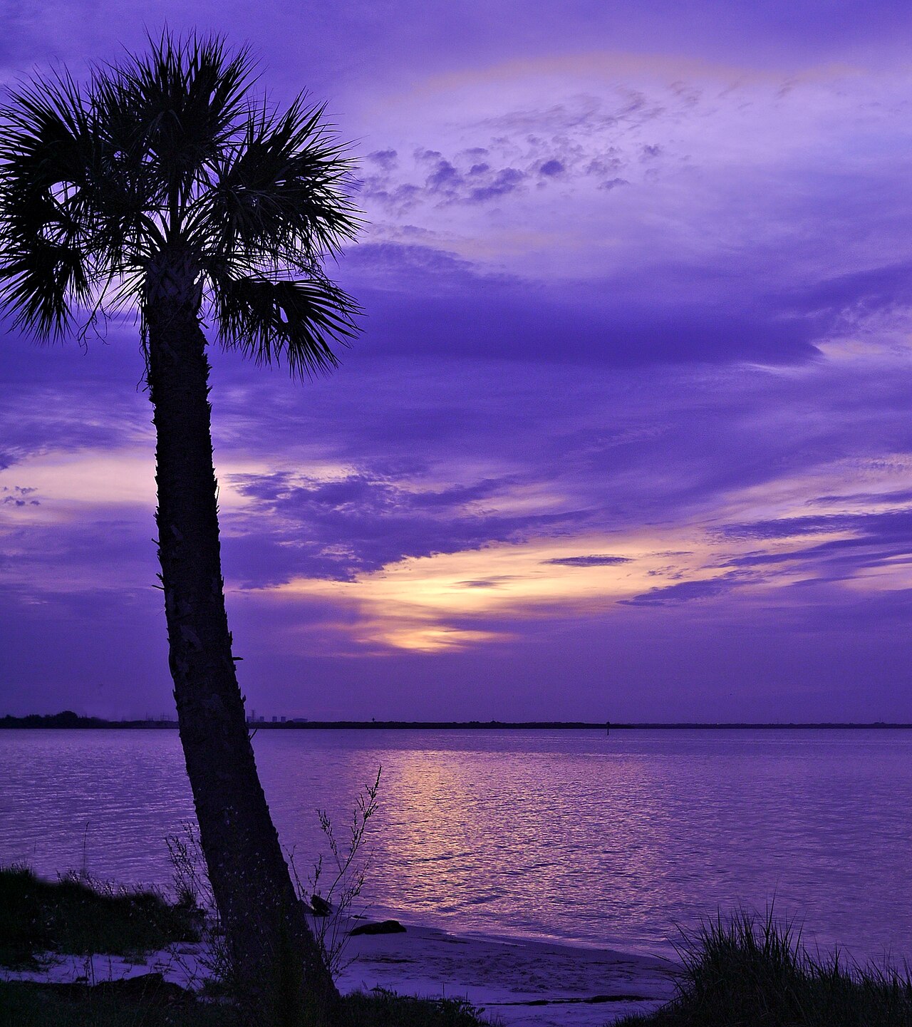 Dawn over the waterfront at Safety Harbor, Florida