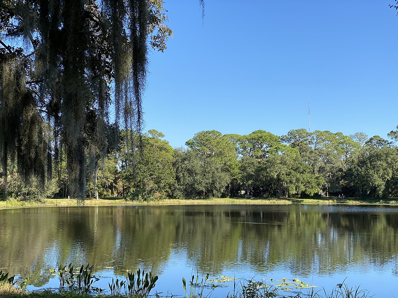 Scenery at Lake Seminole Park, Seminole, Florida