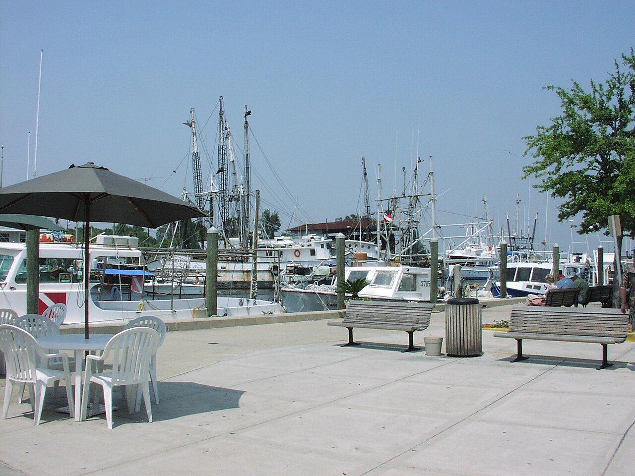 The historic Greek Sponge Docks at Tarpon Springs, Florida
