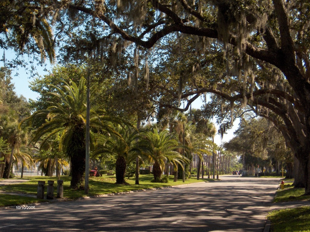 Venice Avenue in downtown Venice, Florida